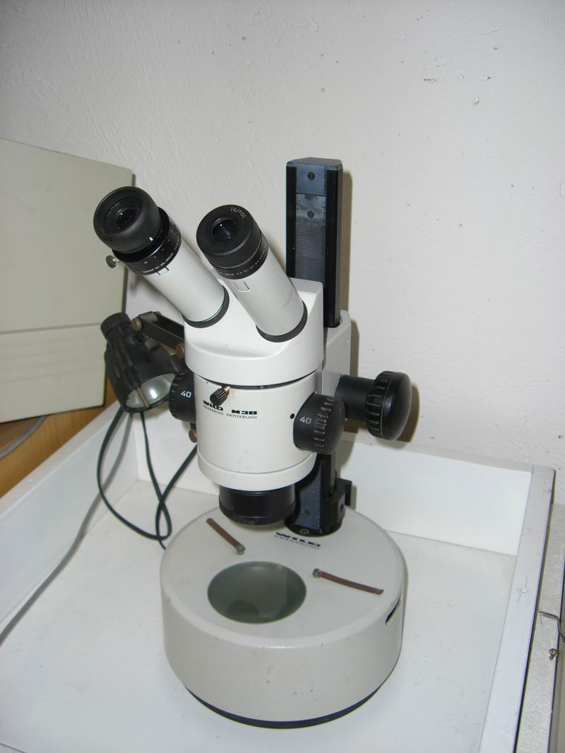 informazioni su stereomicroscopio